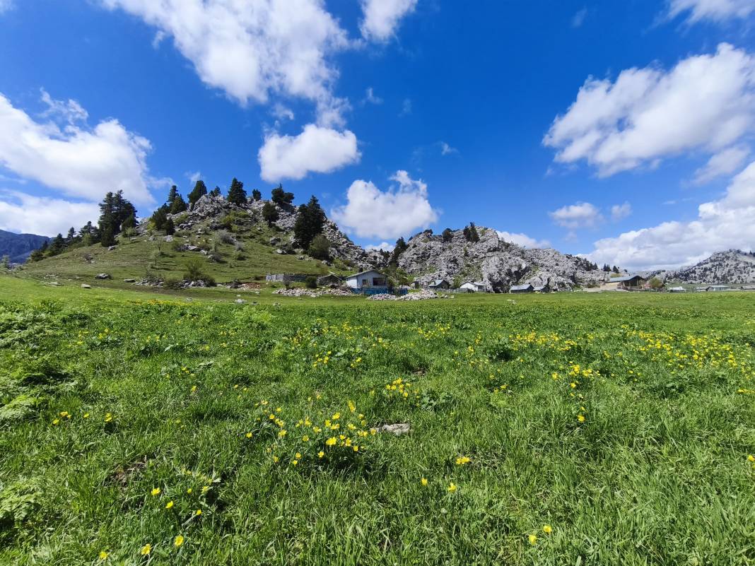 Konya’nın ünlü yaylasında baharın renkli yüzü çıktı 3